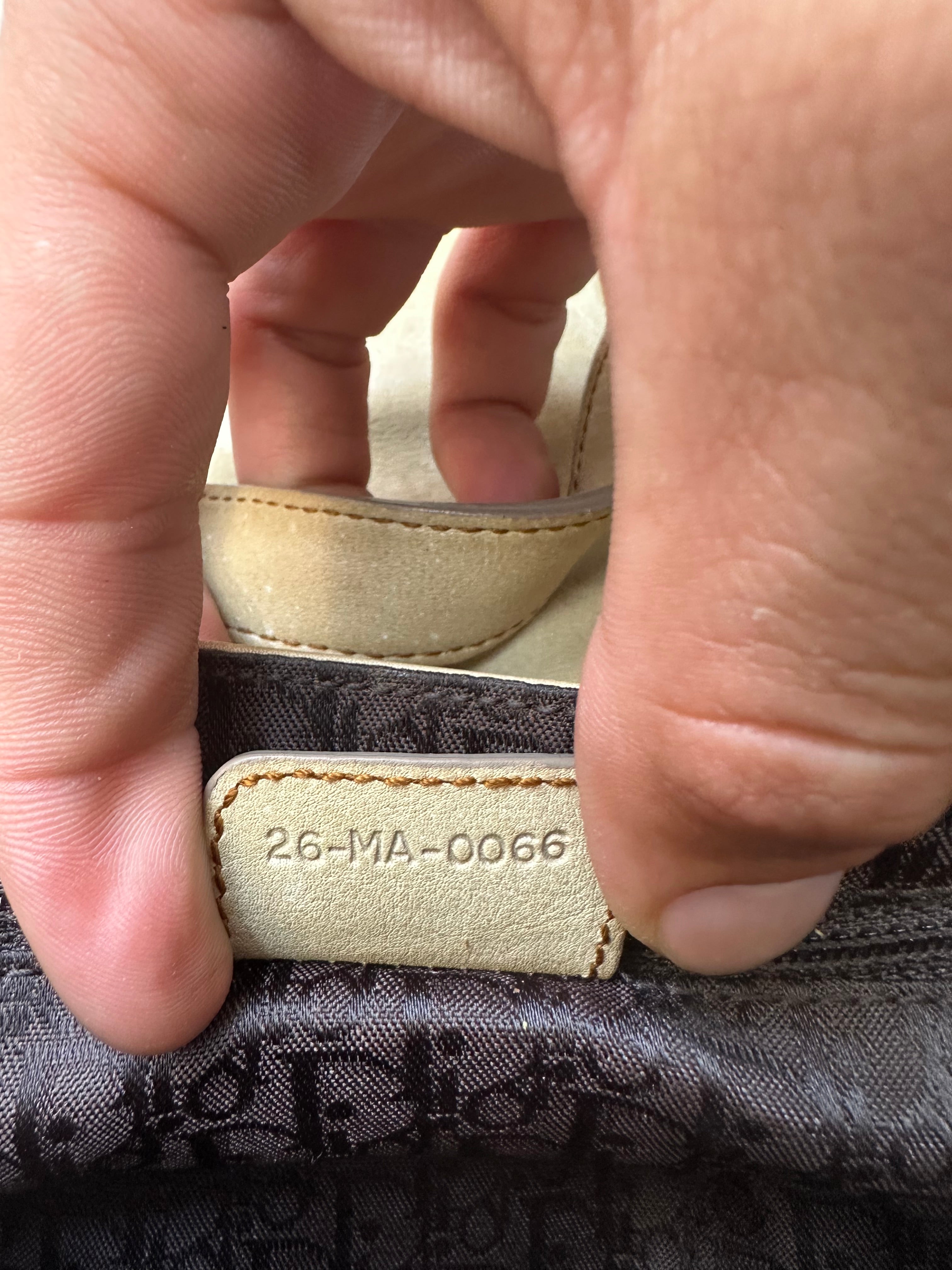 Christian Dior Gaucho Crossbody Bag
