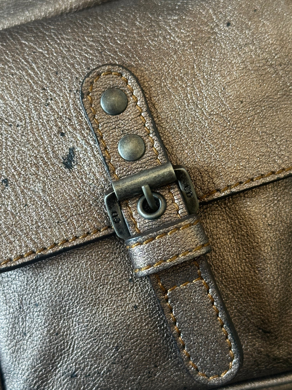 Christian Dior Gaucho Double Saddle