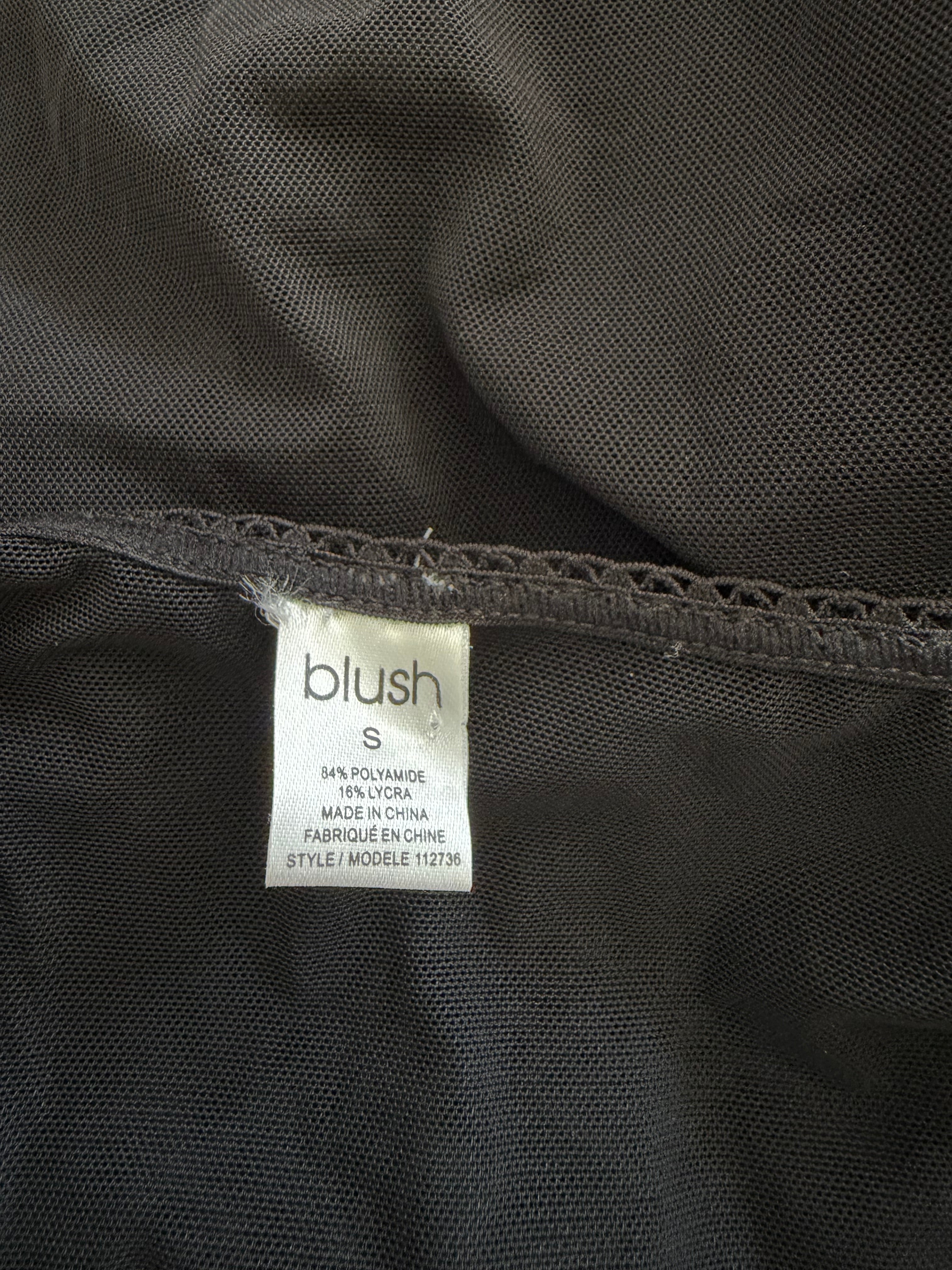 Blush Black Sheer Mesh Embroidered Floral Slip Dress